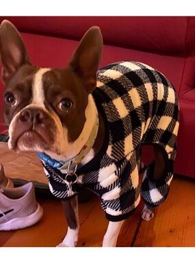 Doggie Pjs and Raincoat (2 pieces)
